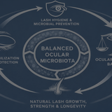 Model Depicting the Ocular Safety Framework