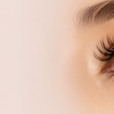 Eye Model with Brown Eyes and Long Lashes